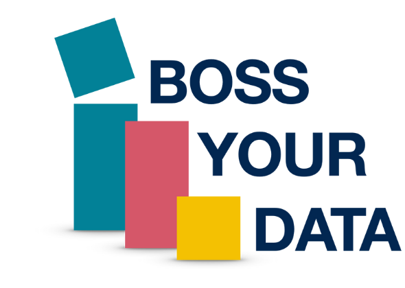 Boss Your Data